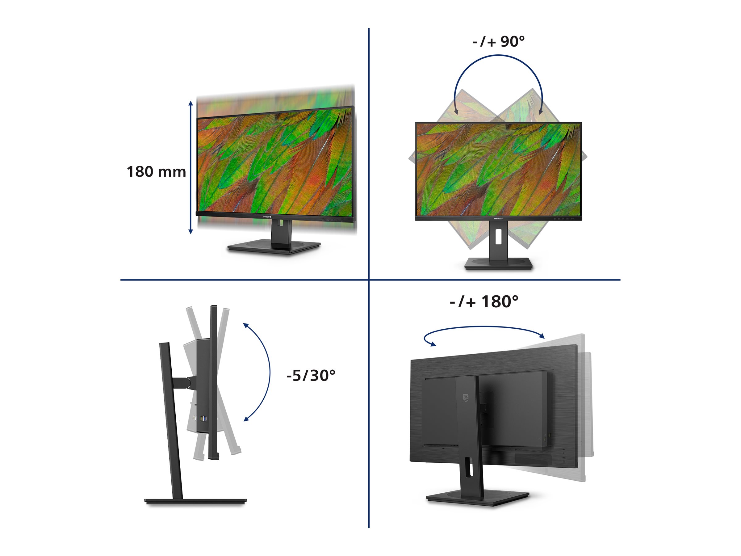 CCS Product Image (Multi-angle/2400 x 1800)