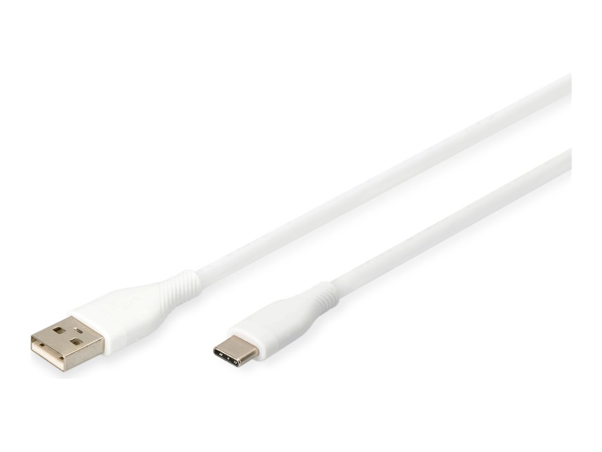 CCS Product Image (Right-angle/1200 x 900)