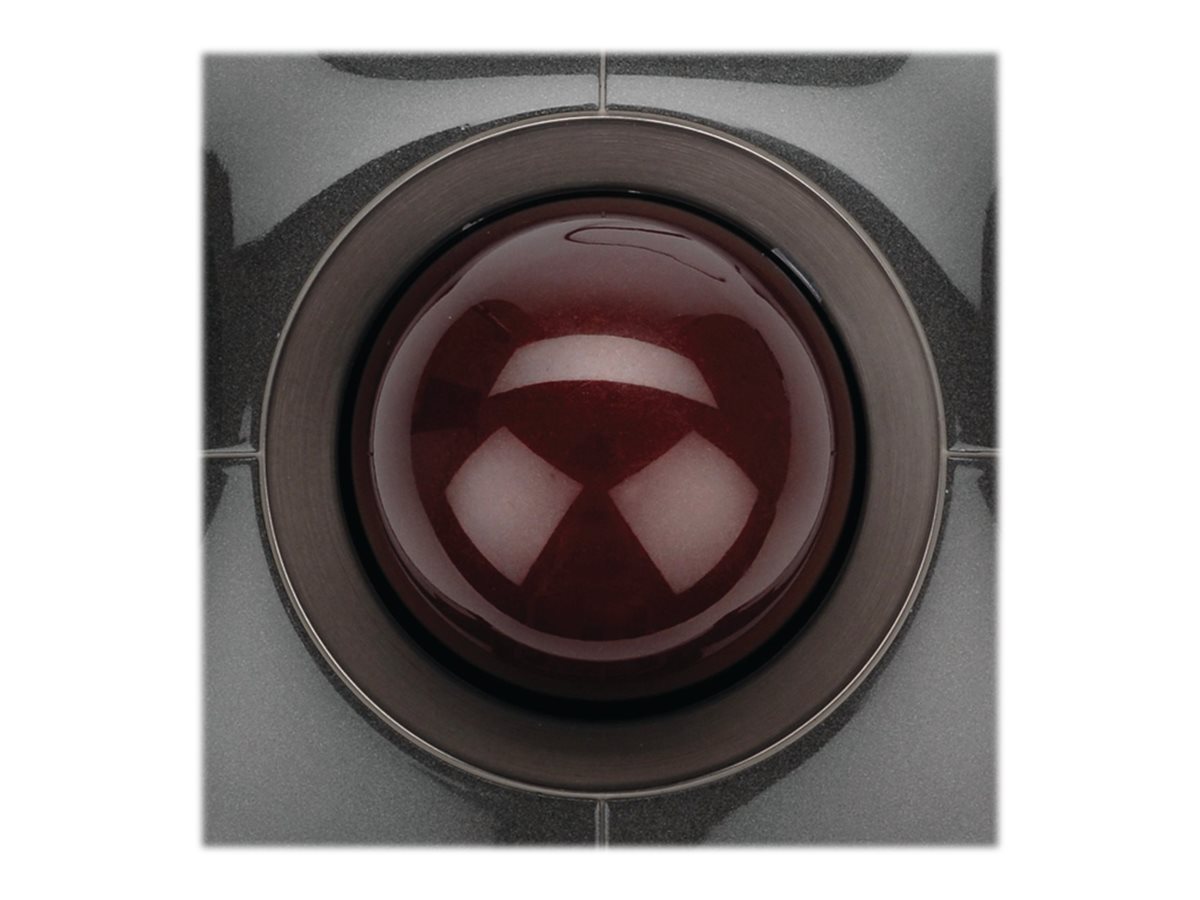 CCS Product Image (Close-up/1200 x 900) CCS Product Image (Close-up/1200 x 900)