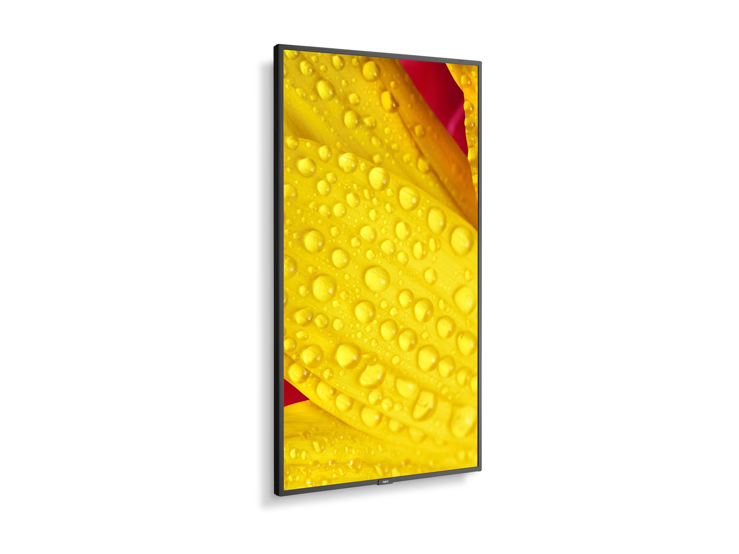 CCS Product Image (Left-angle/2400 x 1800)