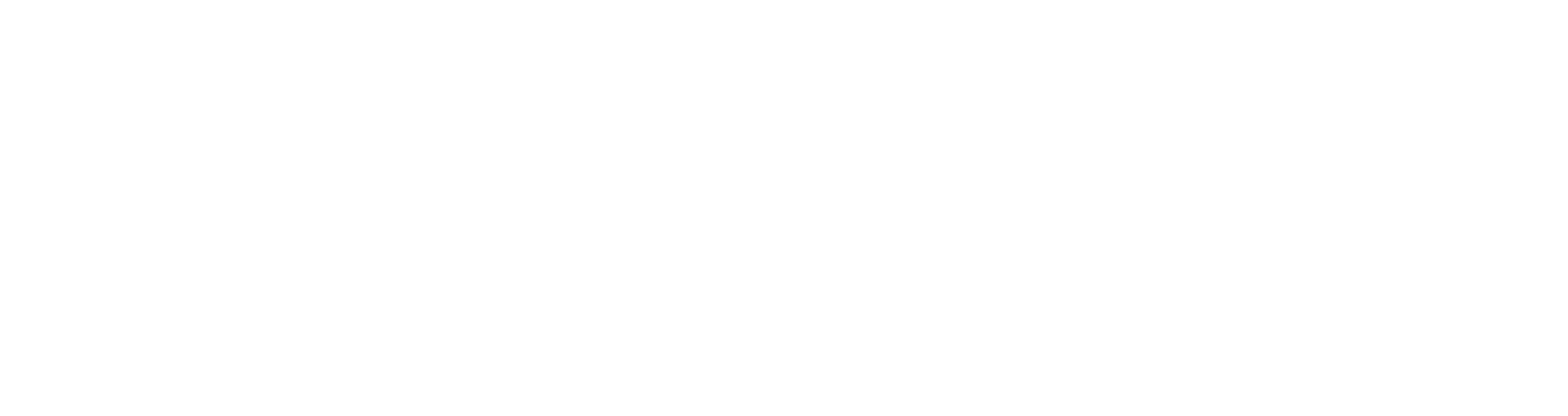 crucial-logo-weiss-klein