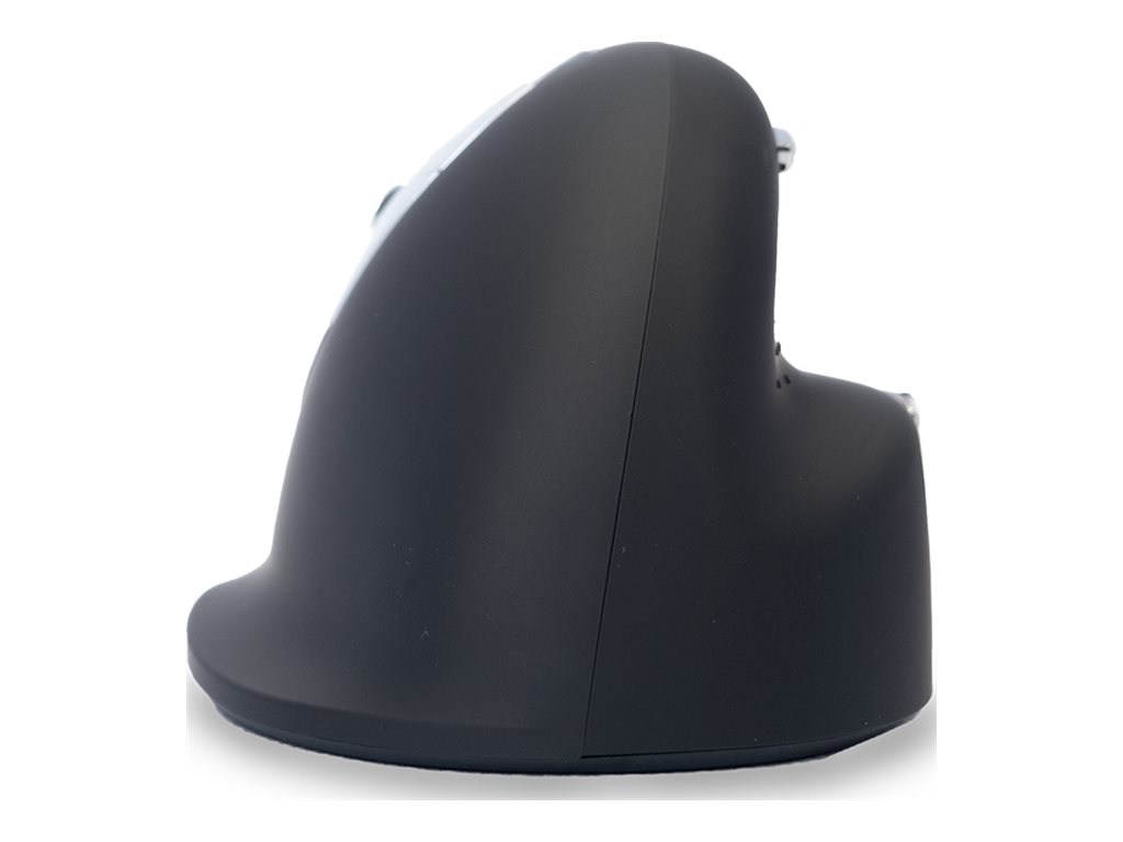 CCS Product Image (Back/1024 x 768)