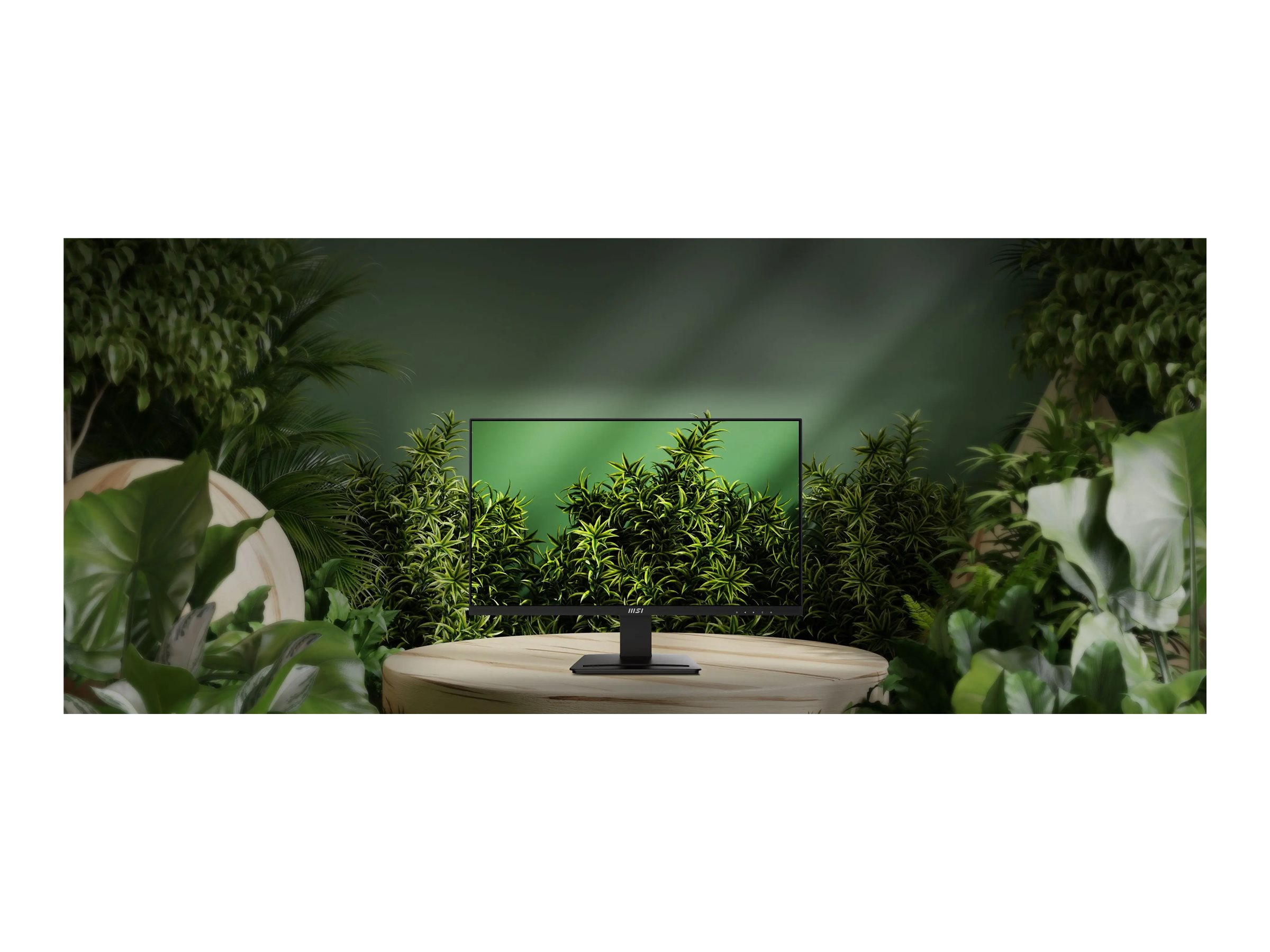 CCS Product Image (Front/2400 x 1800)