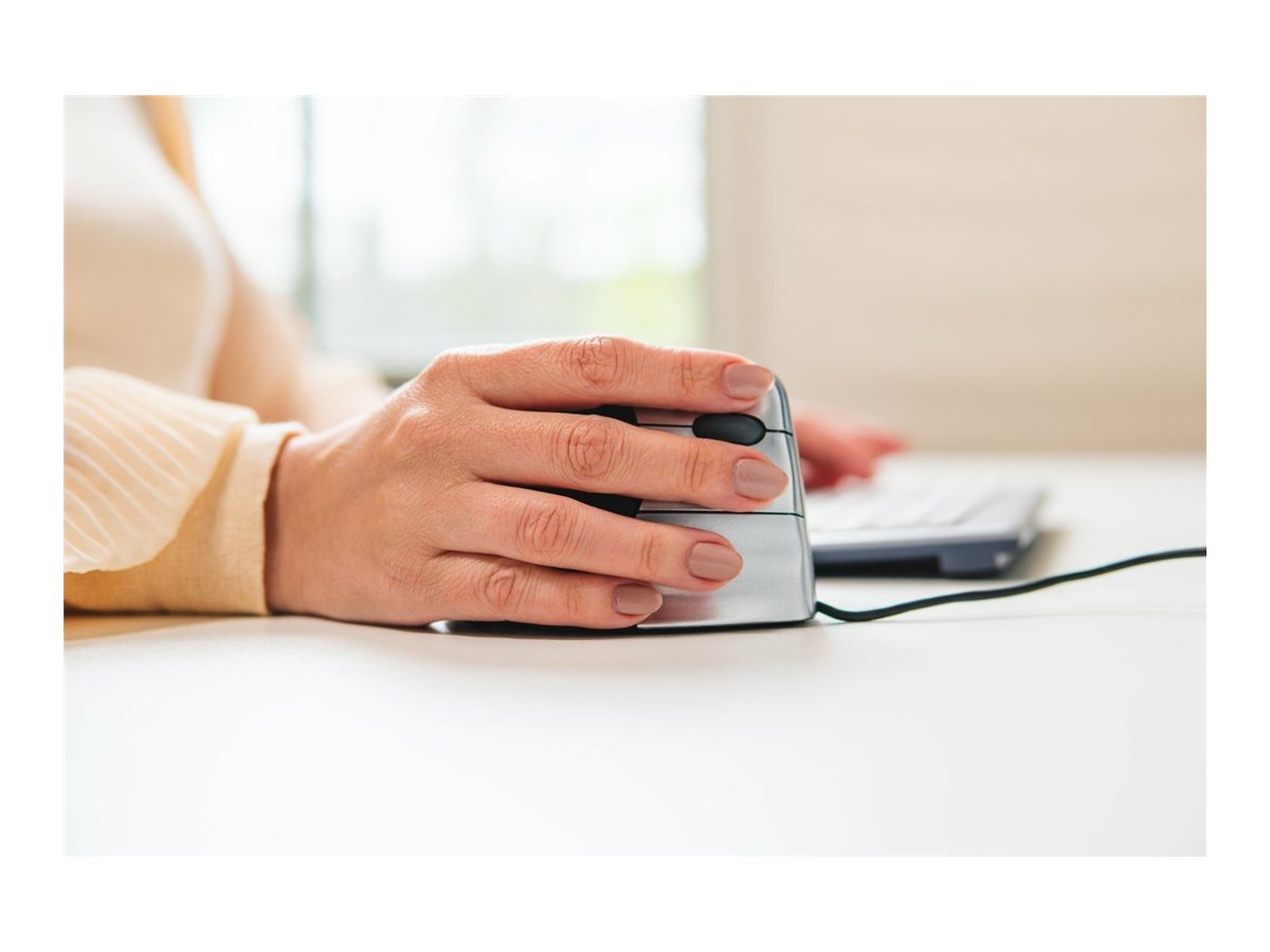 CCS Product Image (Left side/1200 x 900)