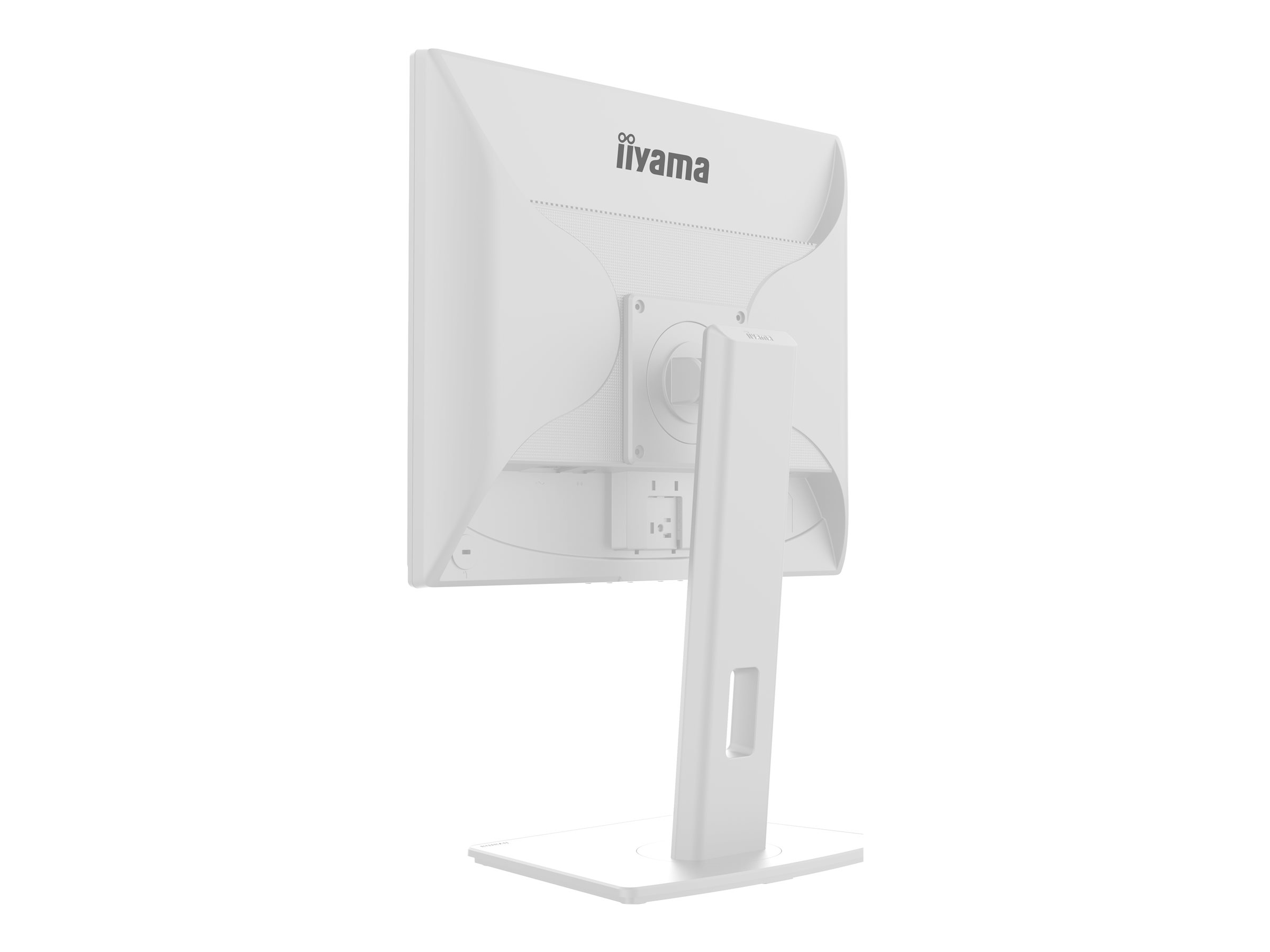 CCS Product Image (Back/2400 x 1800) CCS Product Image (Back/2400 x 1800)