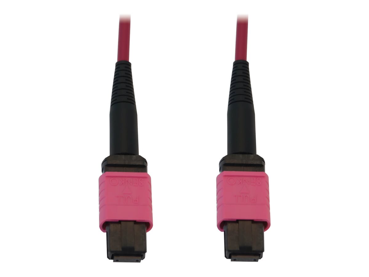 CCS Product Image (Front/1200 x 900)