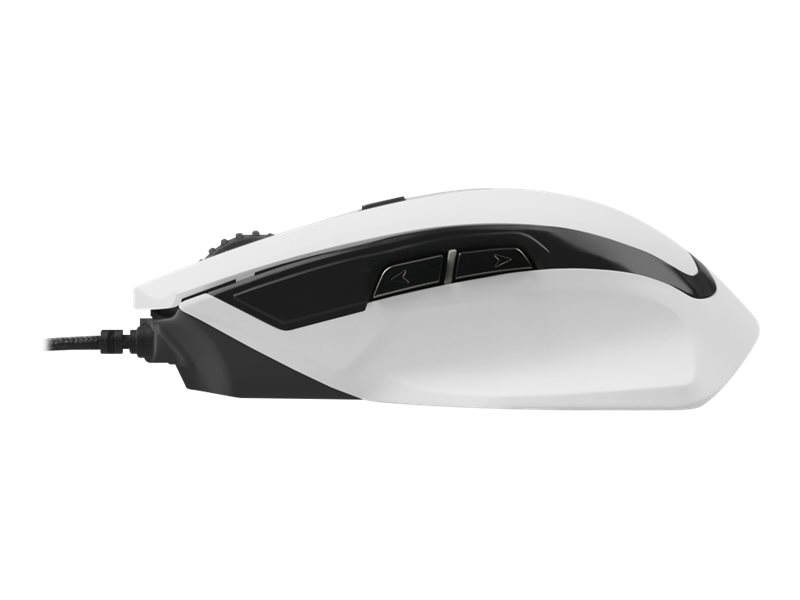 CCS Product Image (Right side/800 x 600)