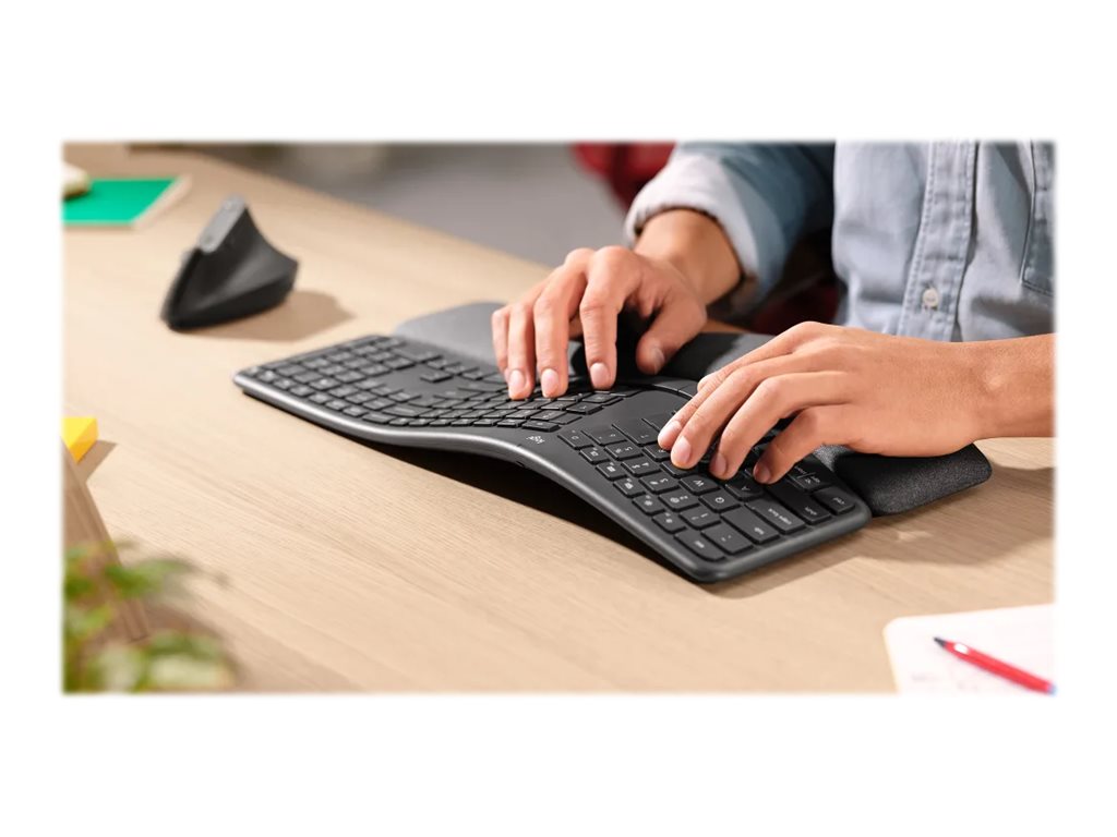 CCS Product Image (Back/1024 x 768)