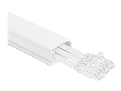 CCS Product Image (Close-up/400 x 300)