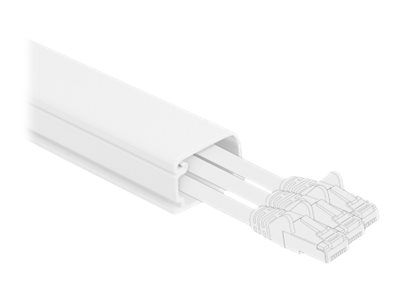 CCS Product Image (Close-up/400 x 300)