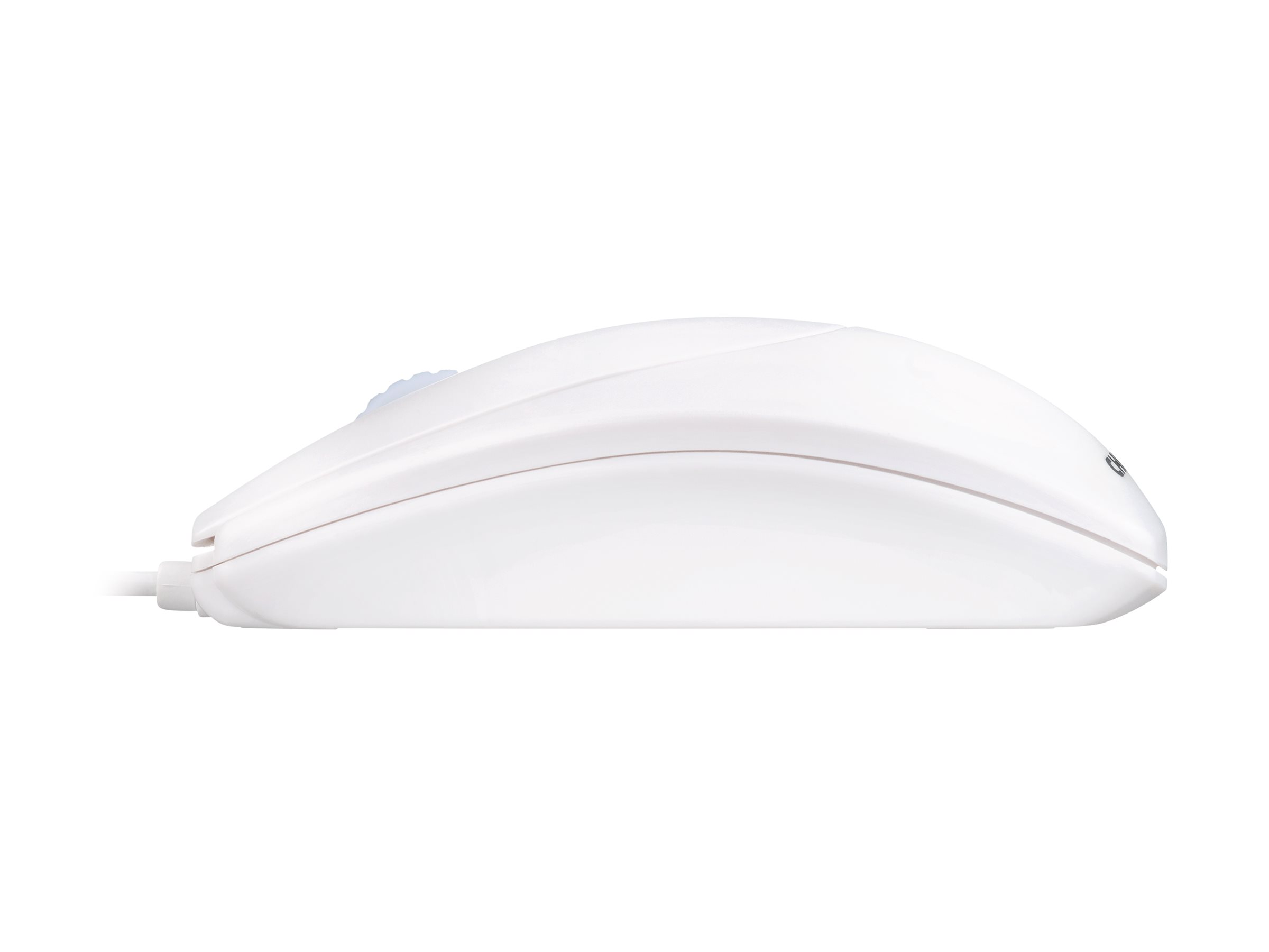 CCS Product Image (Right side/2400 x 1800)