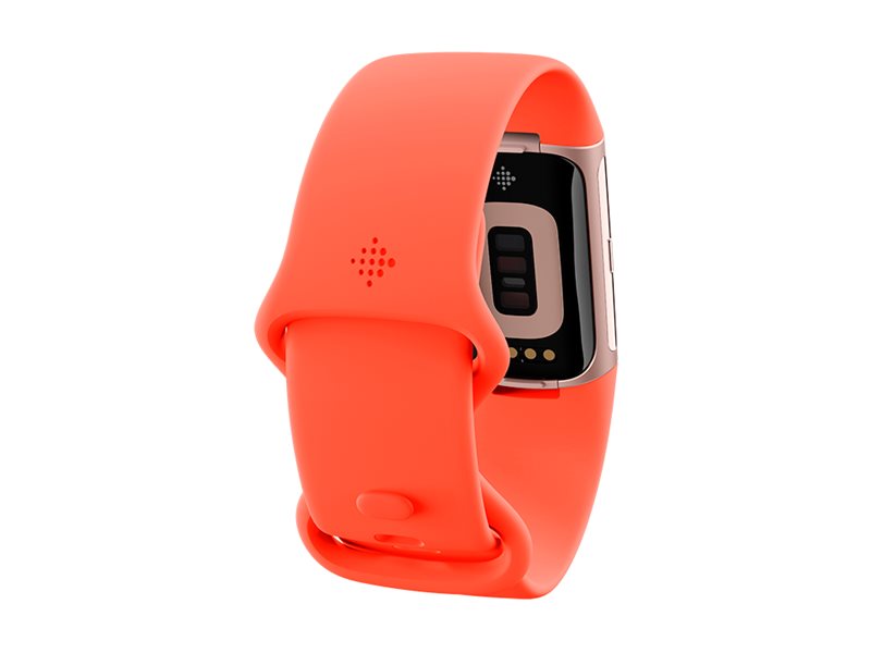 CCS Product Image (Back/800 x 600)