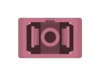 CCS Product Image (Close-up/200 x 150)