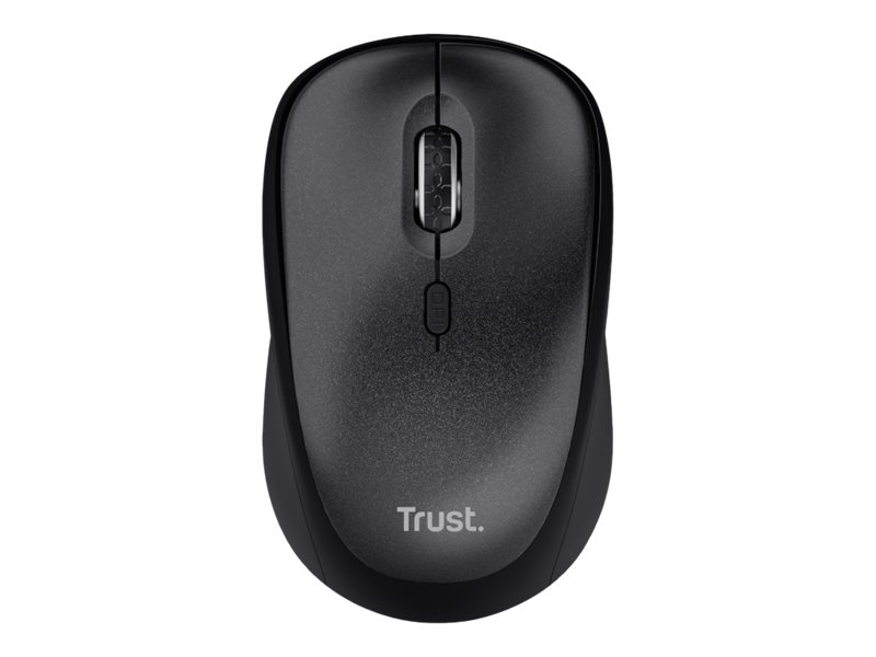 CCS Product Image (Front/800 x 600)