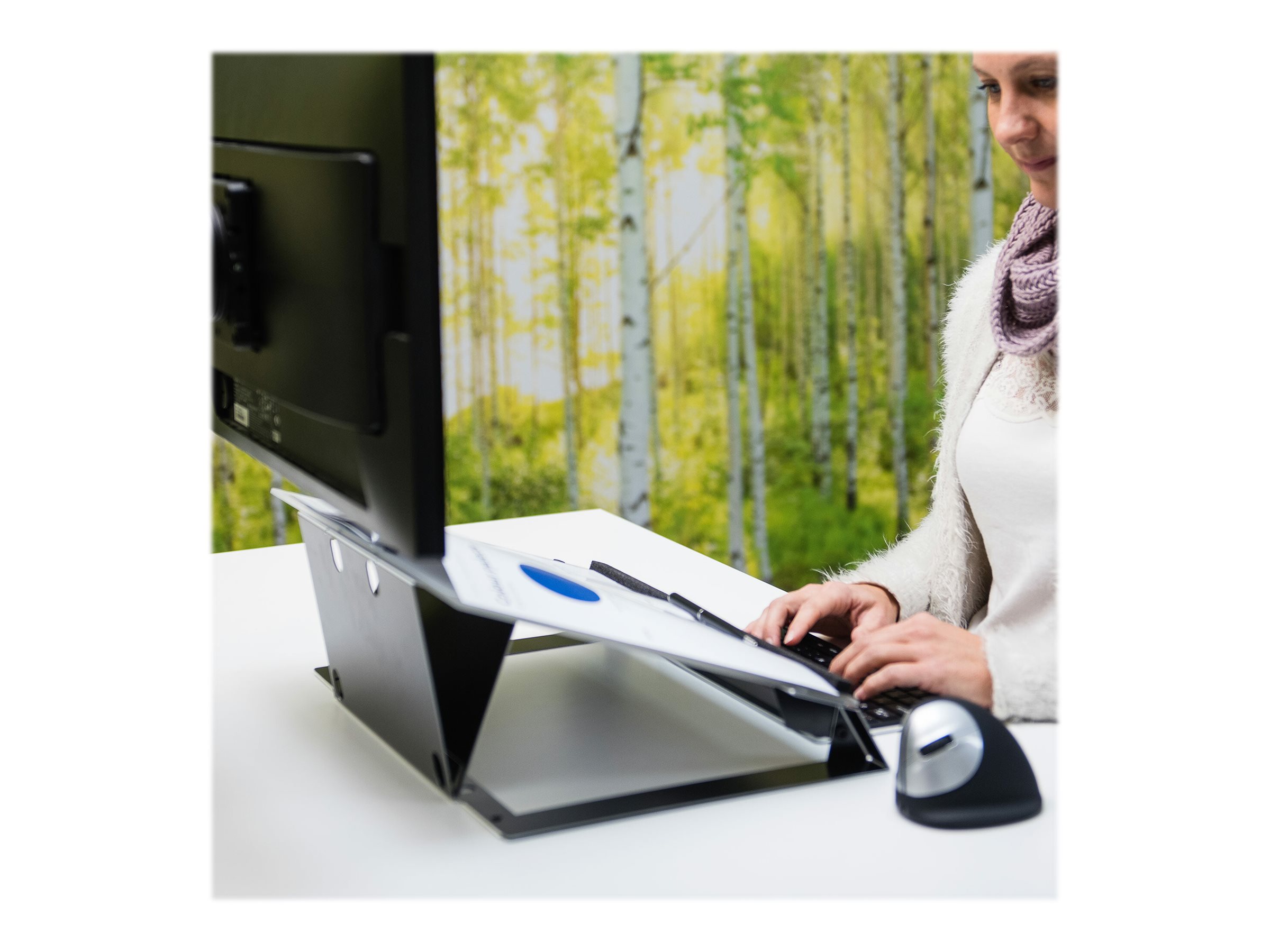 CCS Product Image (Back/2400 x 1800) CCS Product Image (Back/2400 x 1800)