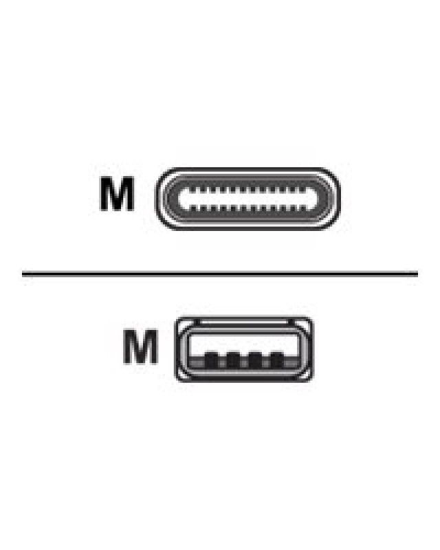 ITS - m3656381-1.jpg