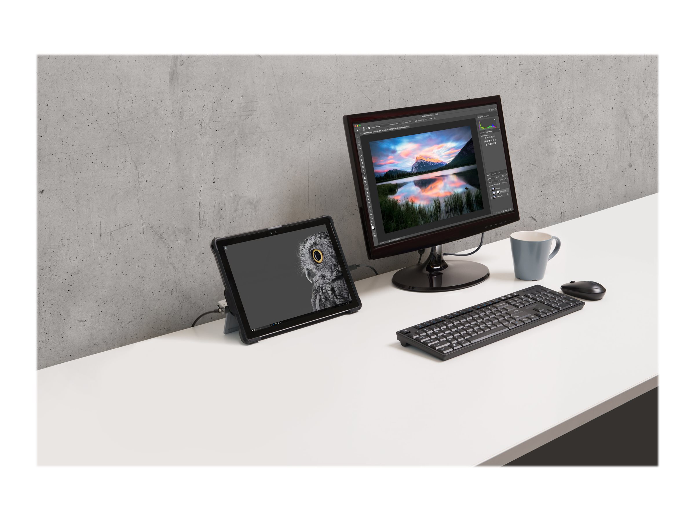 CCS Product Image (Left-angle/2400 x 1800)