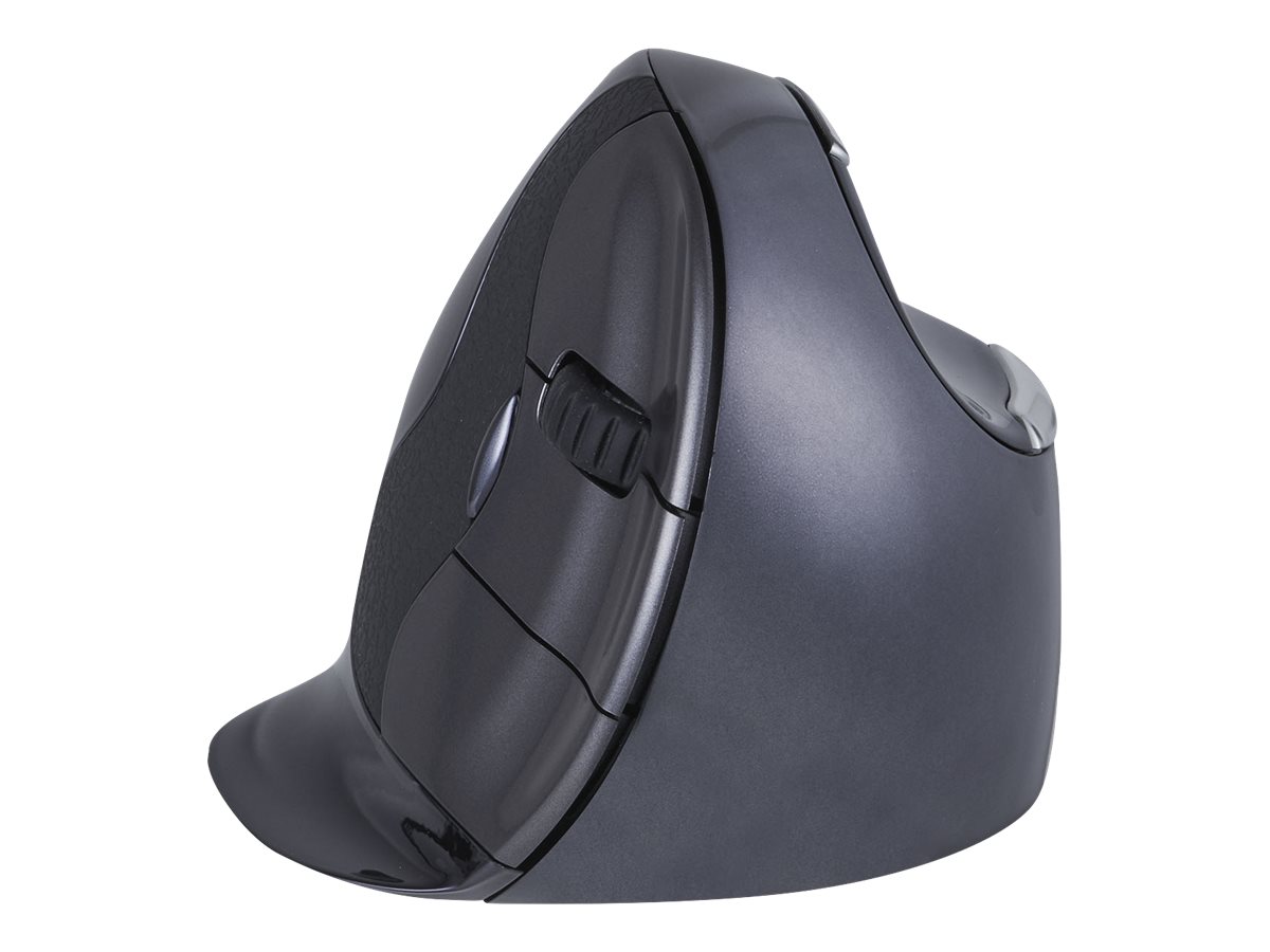 CCS Product Image (Back/1200 x 900)