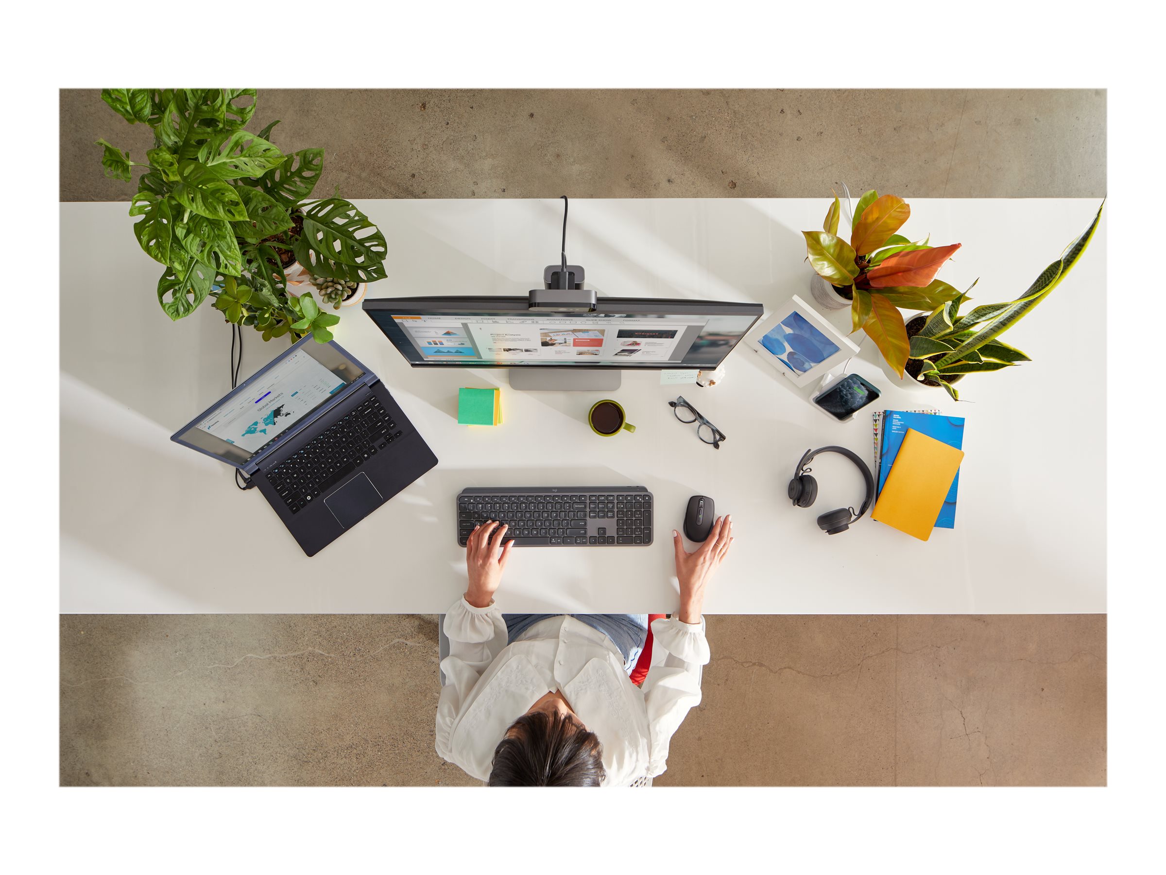 CCS Product Image (Top/2400 x 1800)