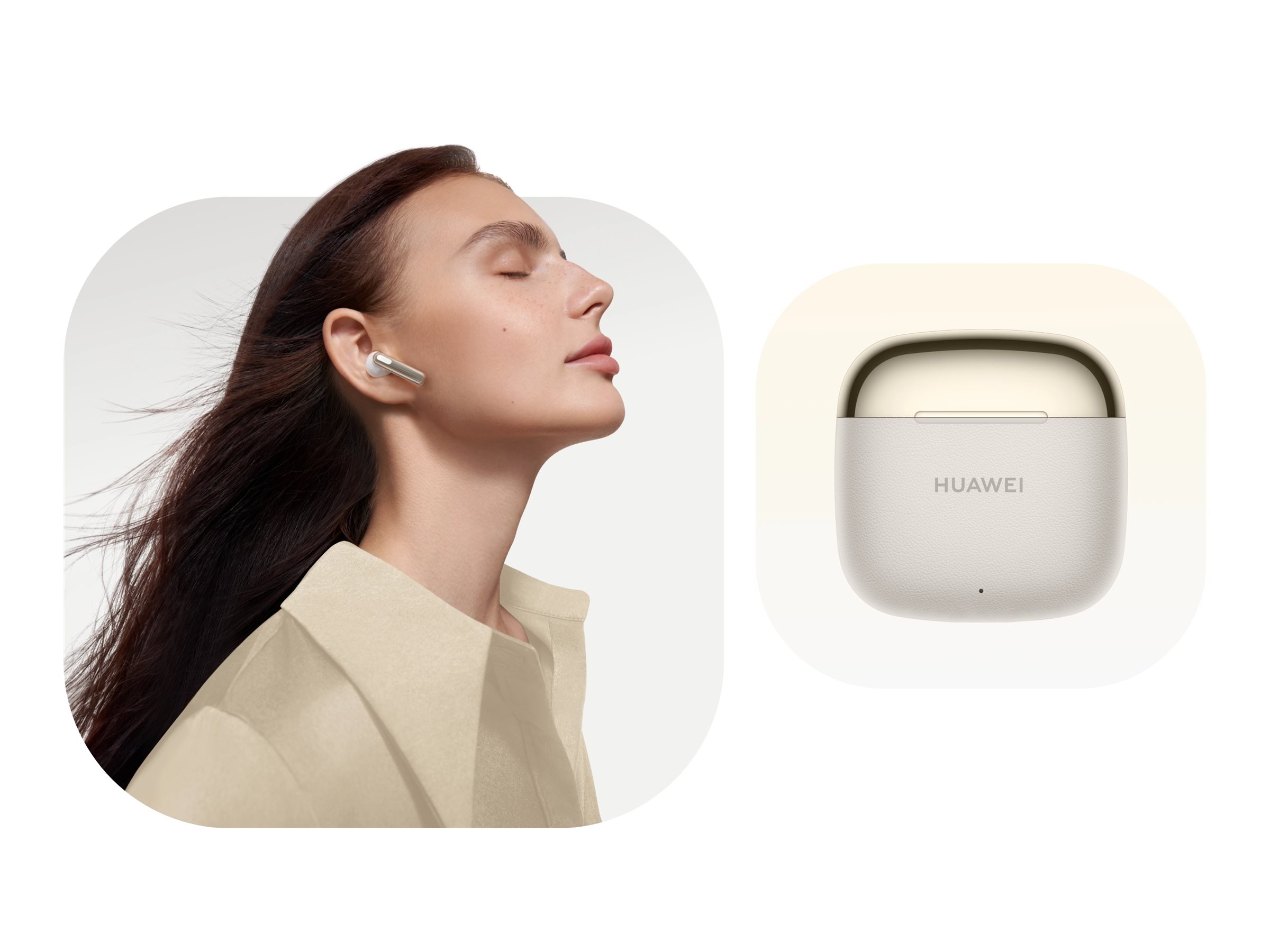 CCS Product Image (Multi-angle/2400 x 1800)