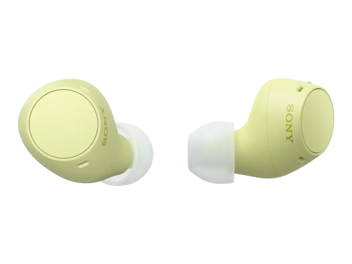 CCS Product Image (Multi-angle/1200 x 900)