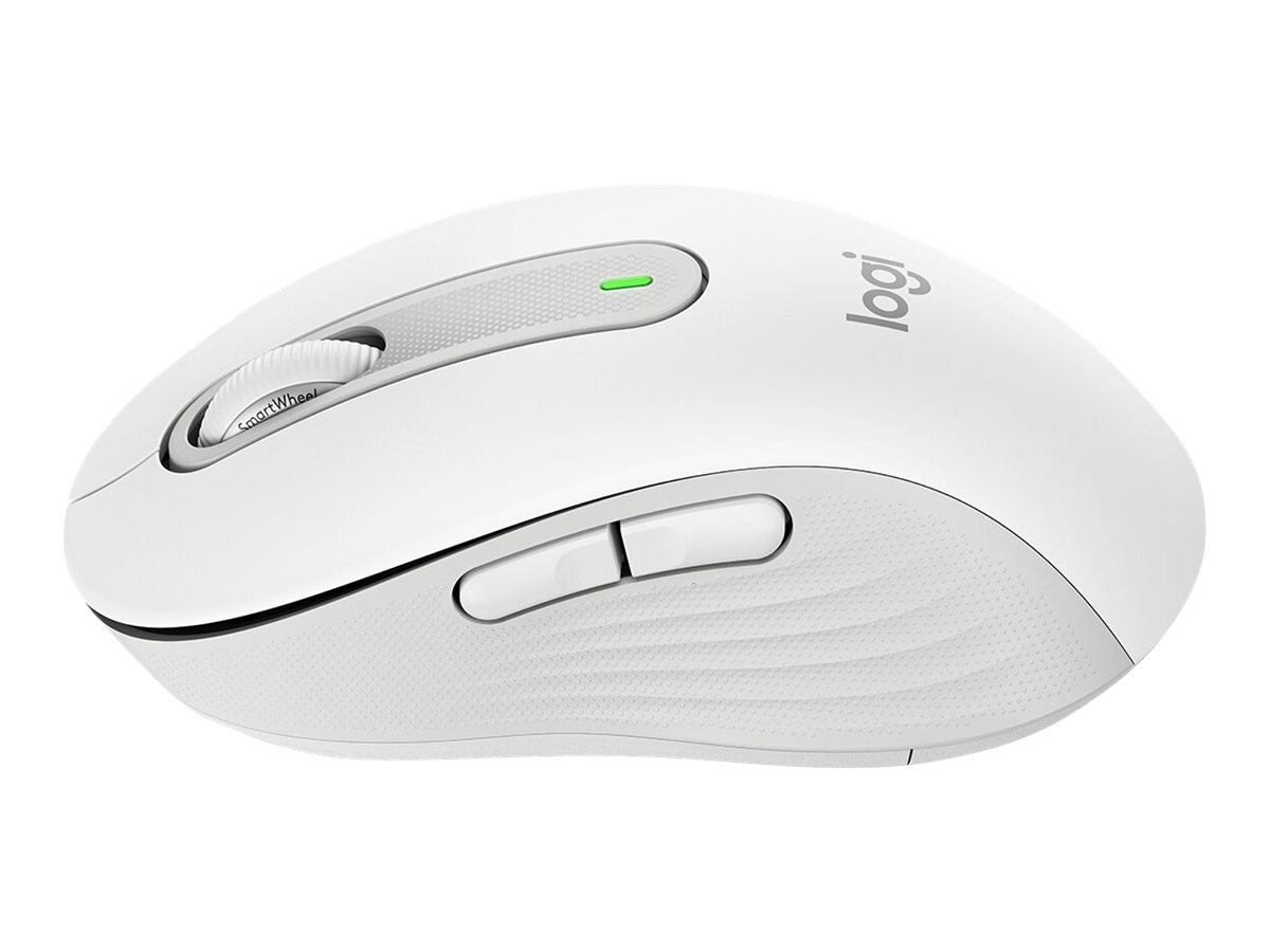 CCS Product Image (Right side/1200 x 900)