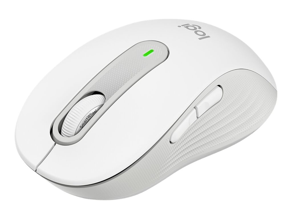 CCS Product Image (Right-angle/1024 x 768)