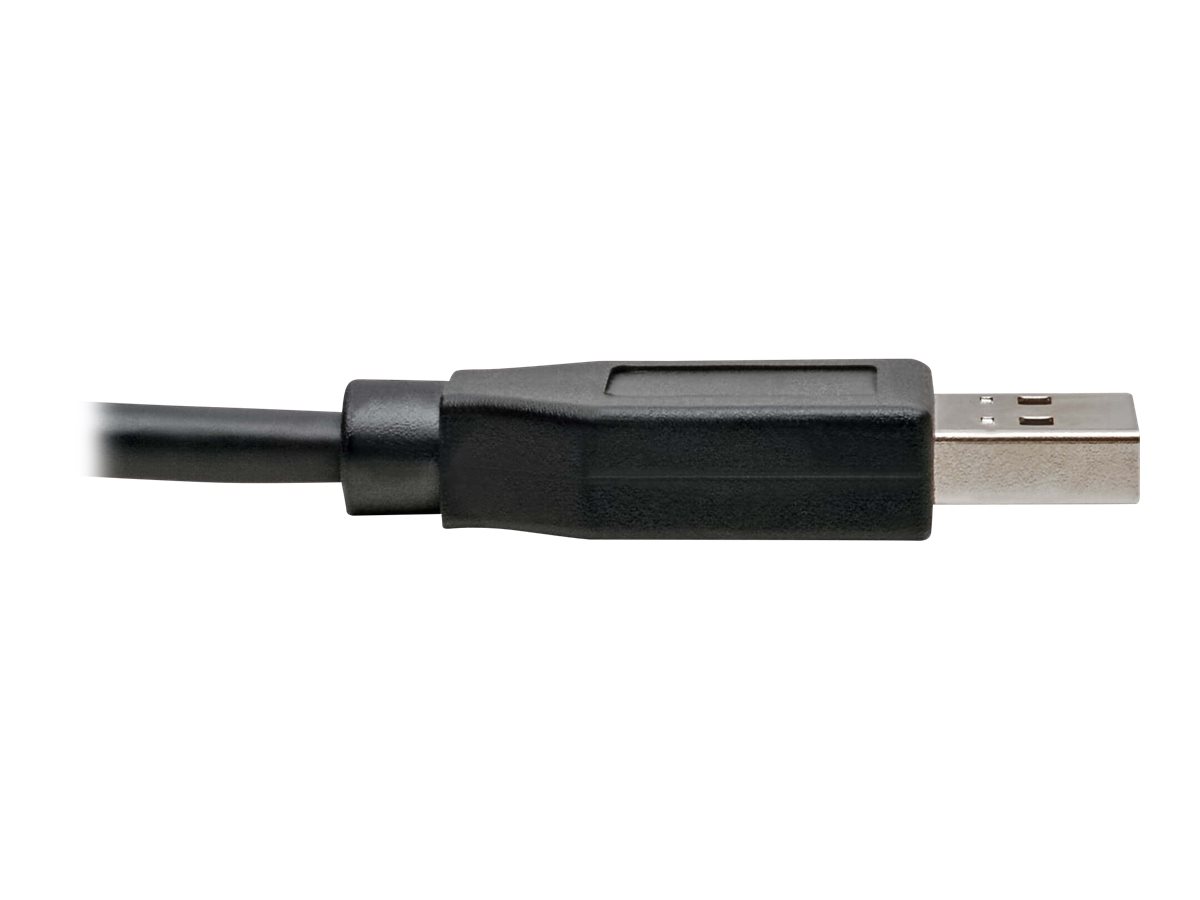 CCS Product Image (Close-up/1200 x 900)