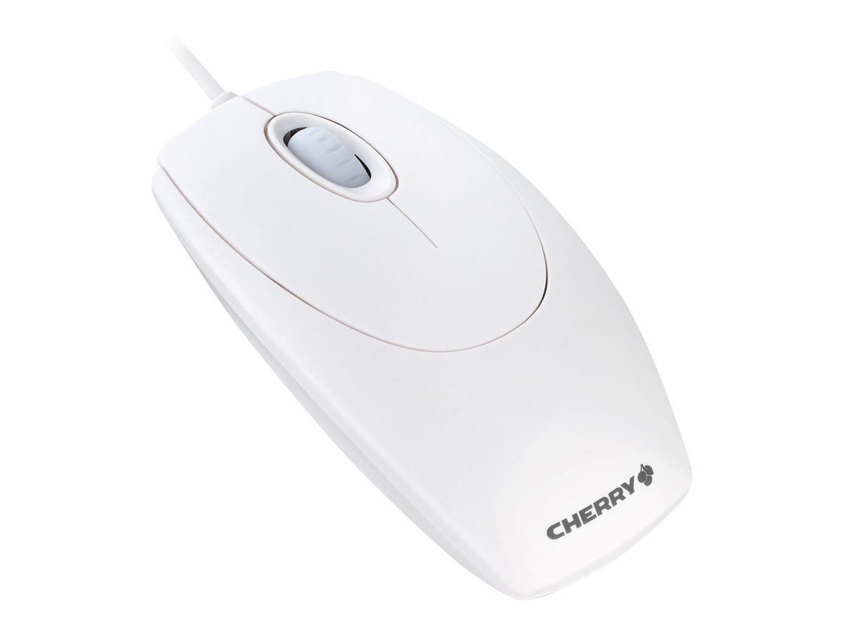 CCS Product Image (Back/1200 x 900)