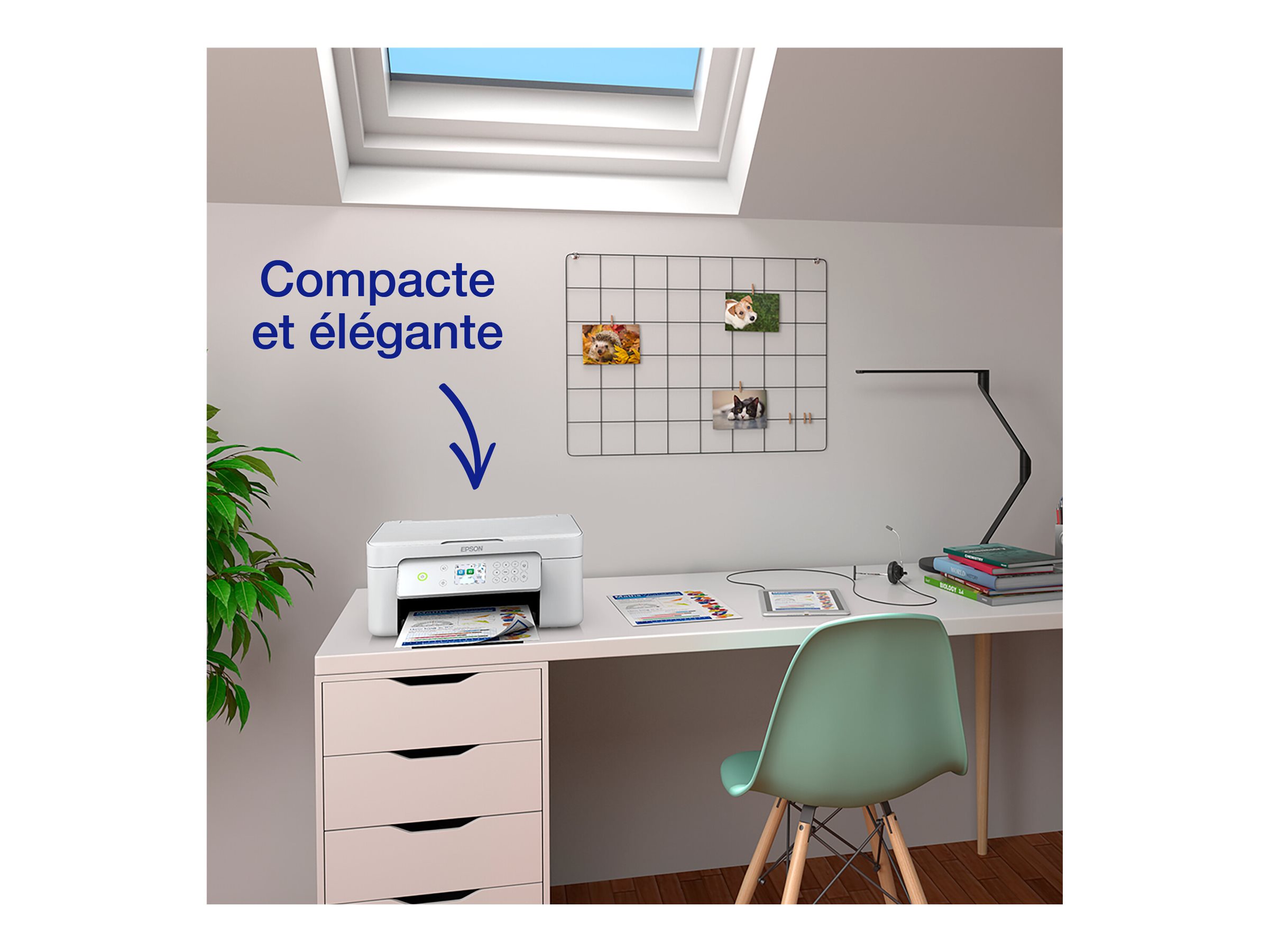 CCS Product Image (Front/2400 x 1800)