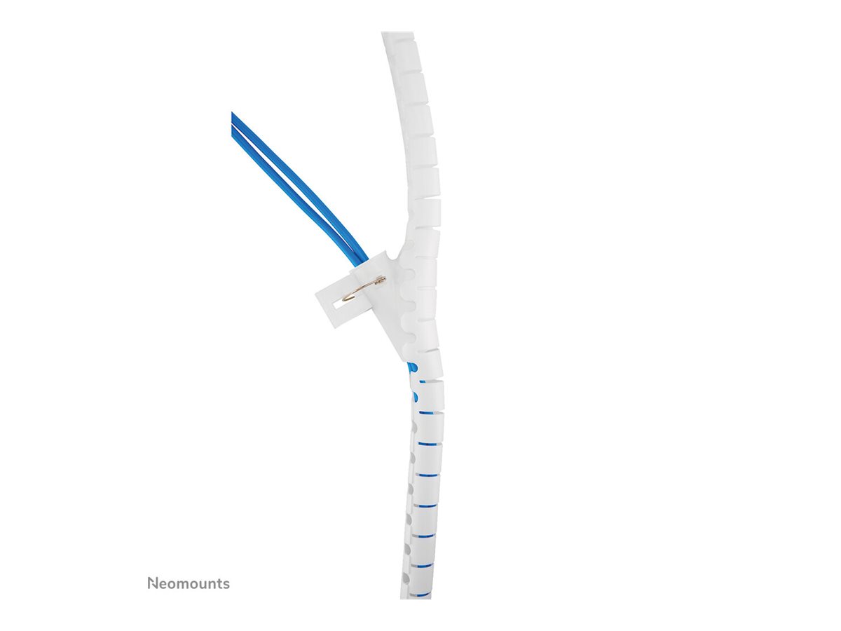 CCS Product Image (Close-up/1200 x 900)