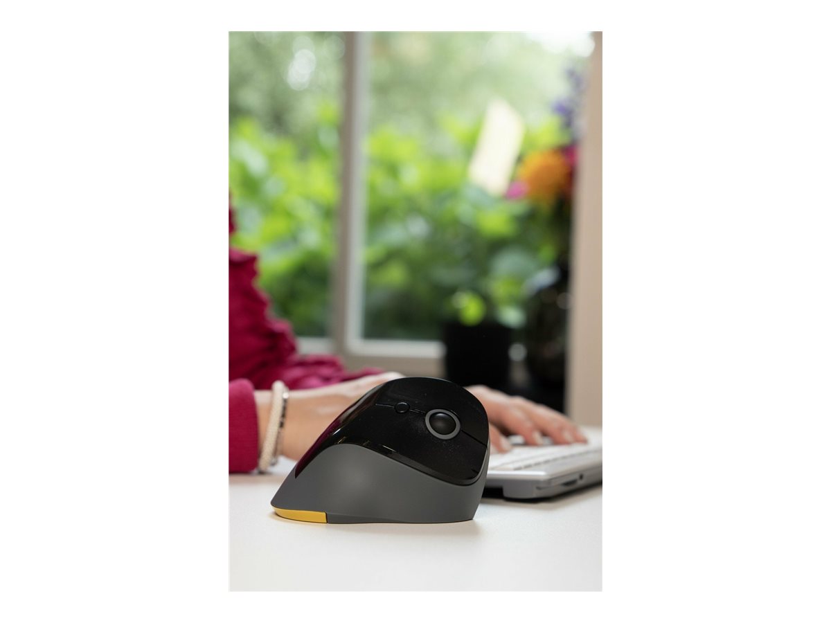 CCS Product Image (Left-angle/1200 x 900)