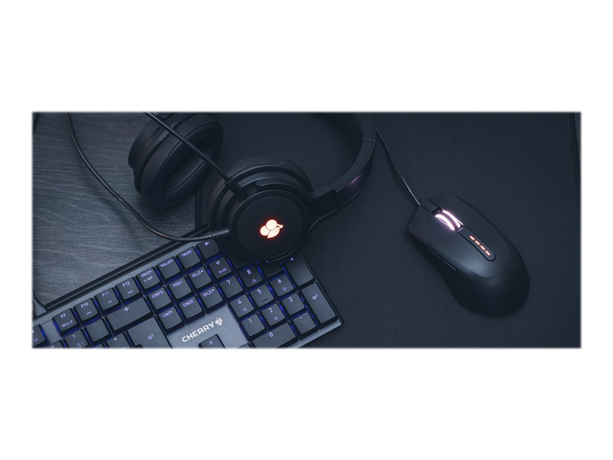 CCS Product Image (Back/1200 x 900)