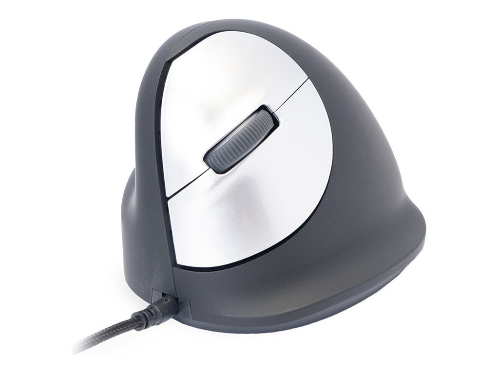 CCS Product Image (Right-angle/1024 x 768)