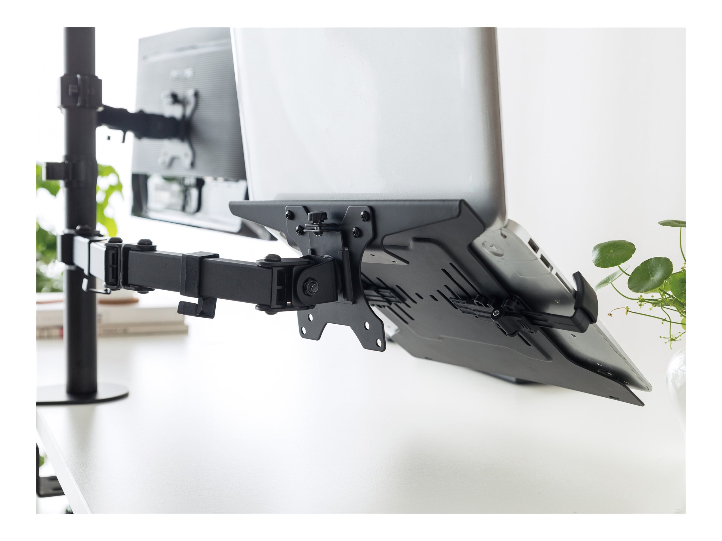 CCS Product Image (Back/2400 x 1800)