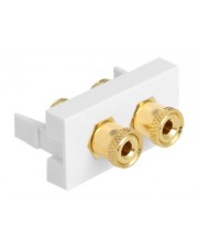 ITS - https://shopmanager.future-x.de/images/products/7/its-12647217.jpg