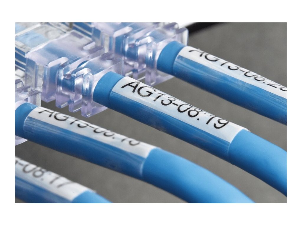 CCS Product Image (Right-angle/1024 x 768)