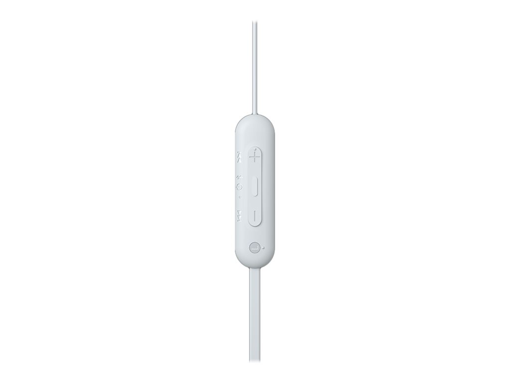 CCS Product Image (Close-up/1024 x 768)