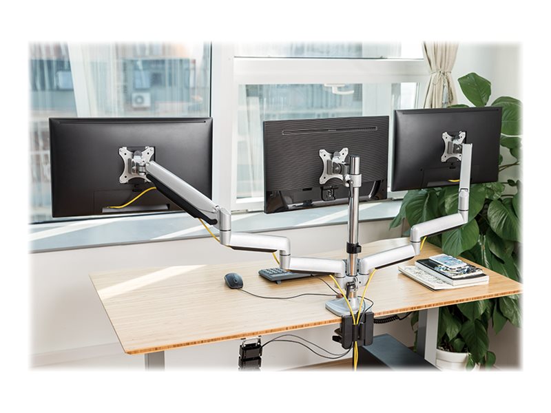 CCS Product Image (Back/800 x 600)
