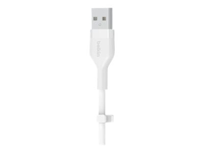 CCS Product Image (Close-up/400 x 300)