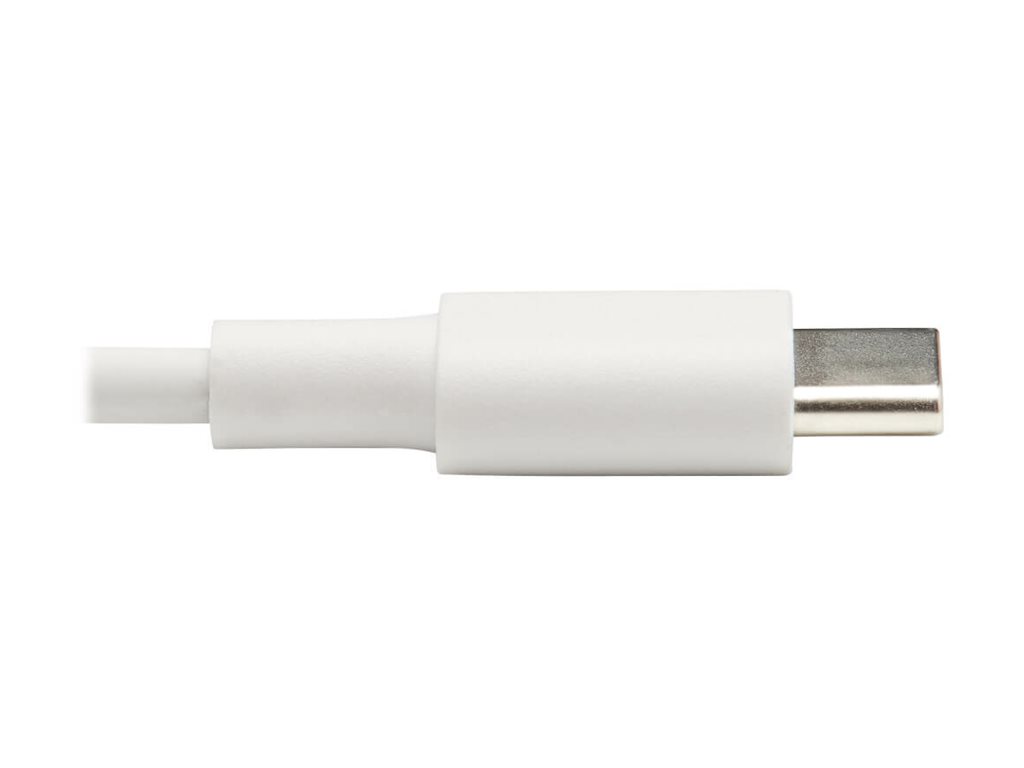 CCS Product Image (Close-up/1024 x 768)