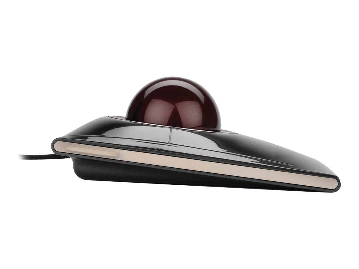 CCS Product Image (Left side/1200 x 900) CCS Product Image (Left side/1200 x 900)