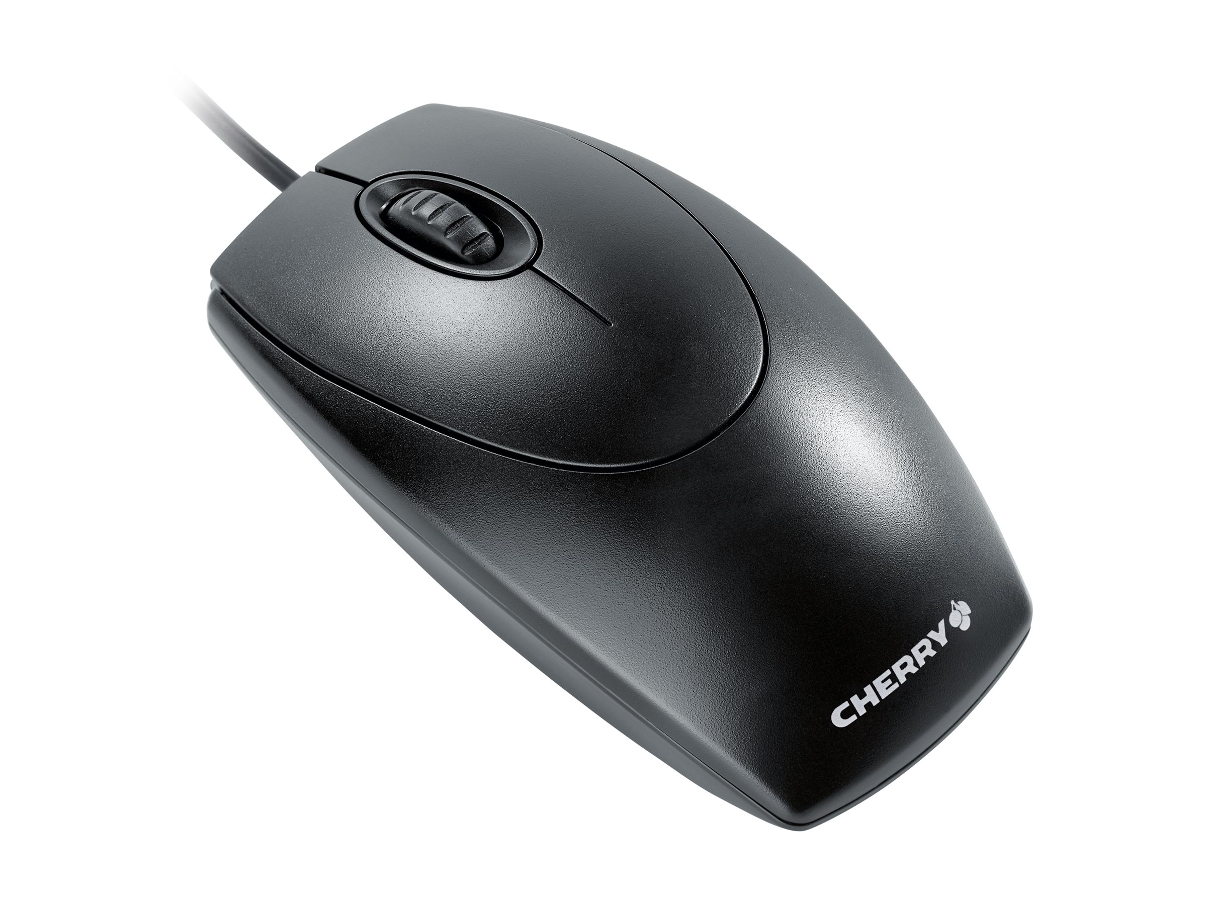 CCS Product Image (Back/2400 x 1800)