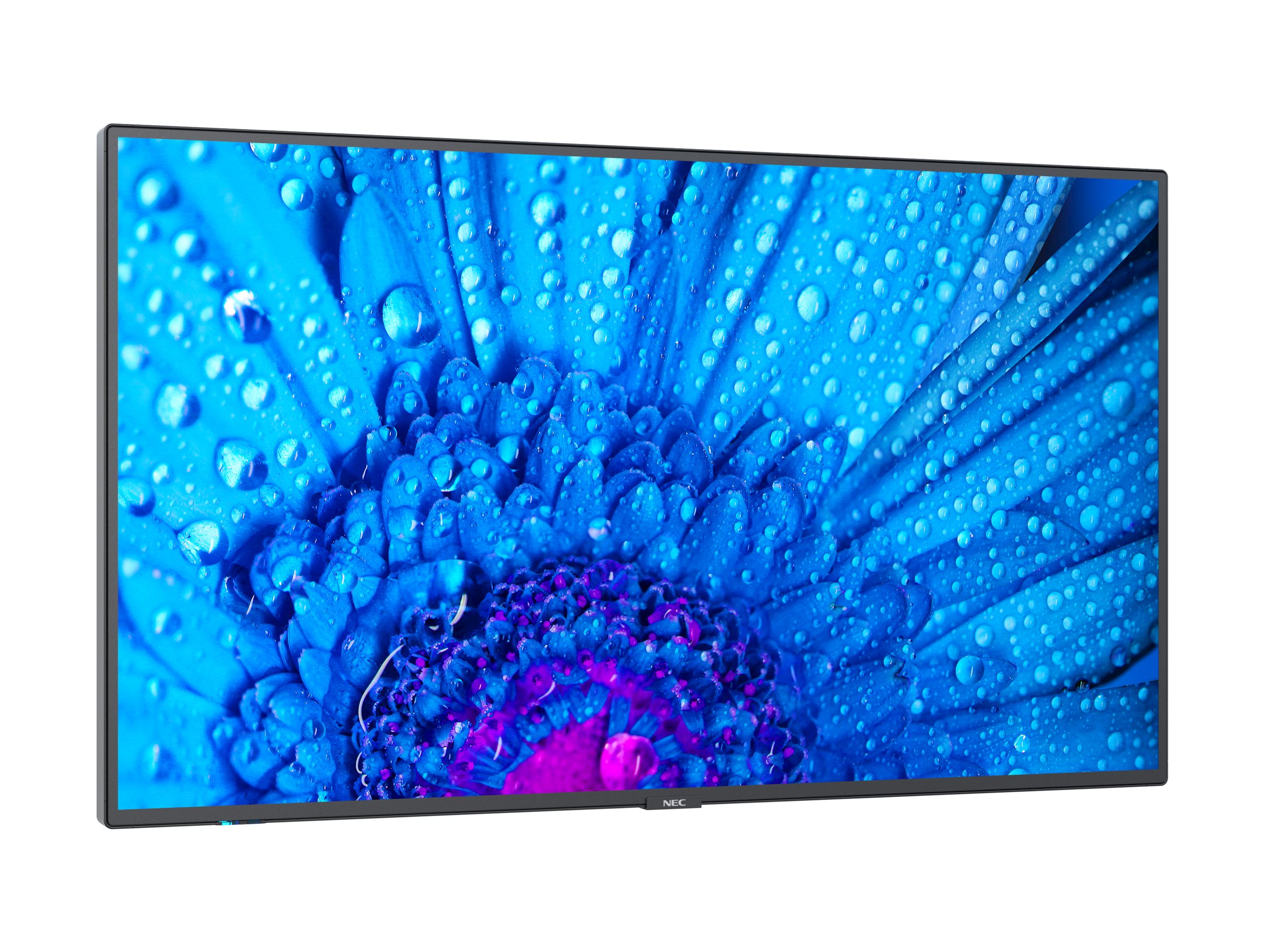 CCS Product Image (Left-angle/2400 x 1800)