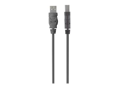 CCS Product Image (Front/400 x 300)