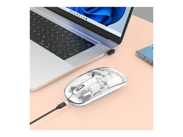 CCS Product Image (Right-angle/640 x 480)