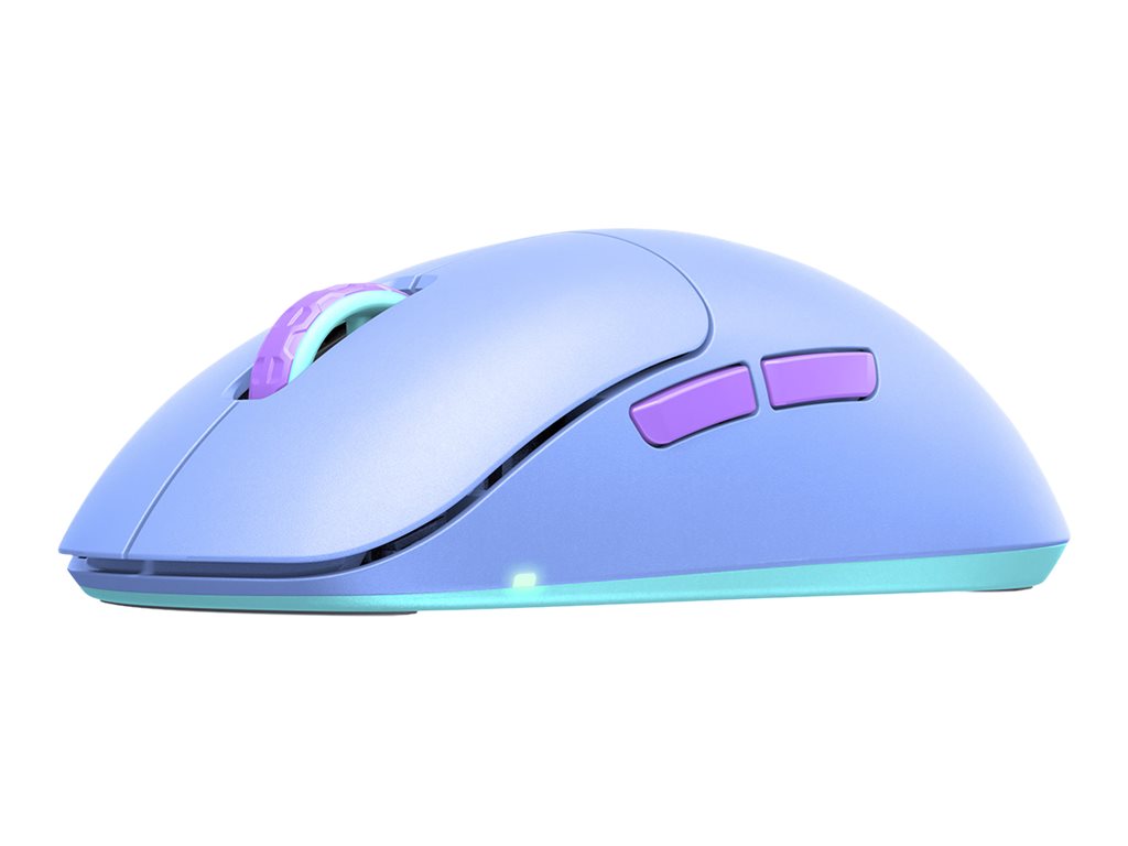 CCS Product Image (Right-angle/1024 x 768)