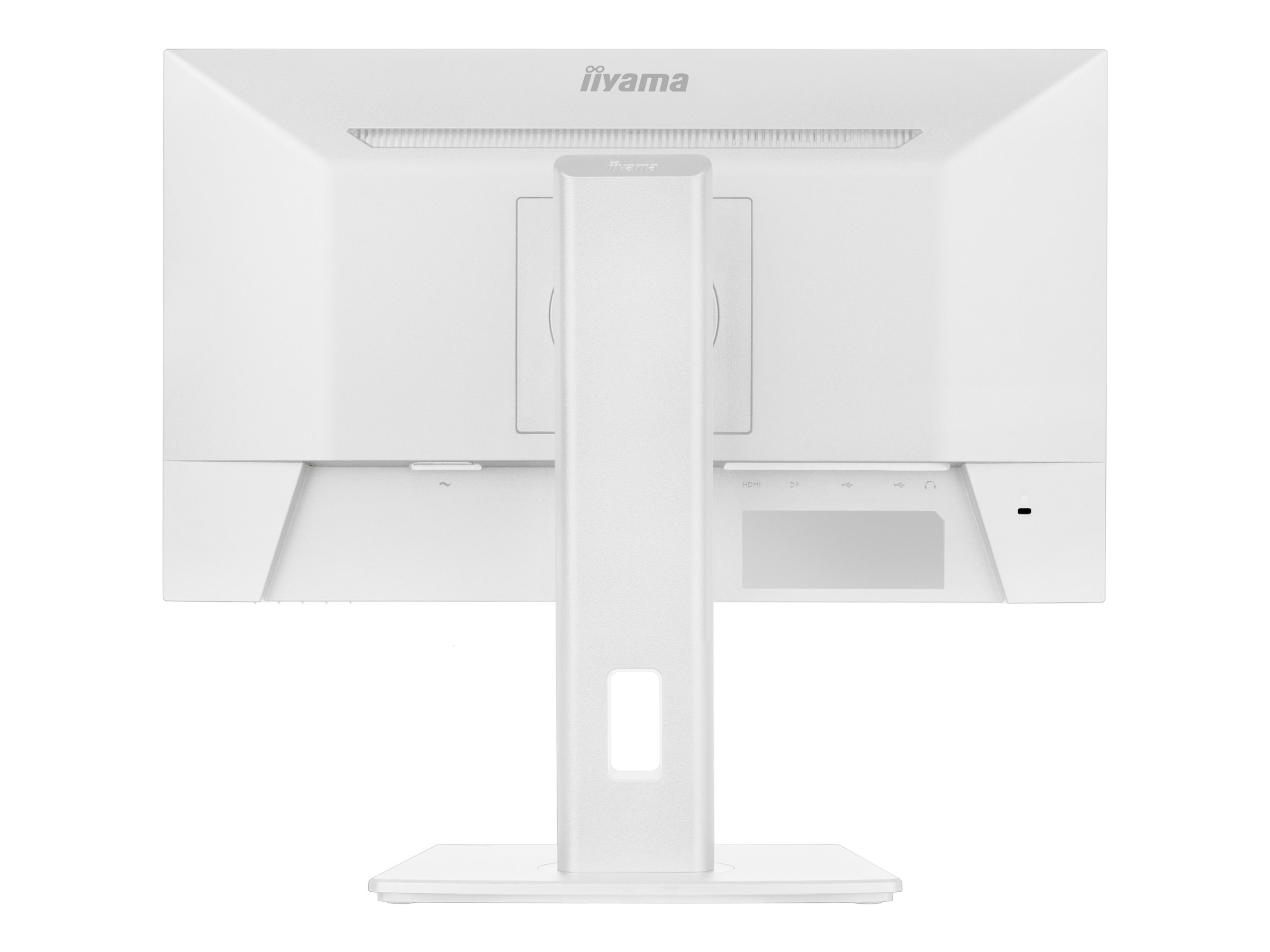 CCS Product Image (Back/2400 x 1800)