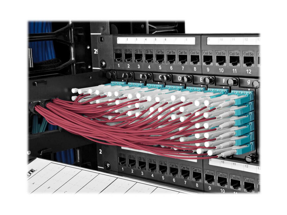 CCS Product Image (Back/1200 x 900)